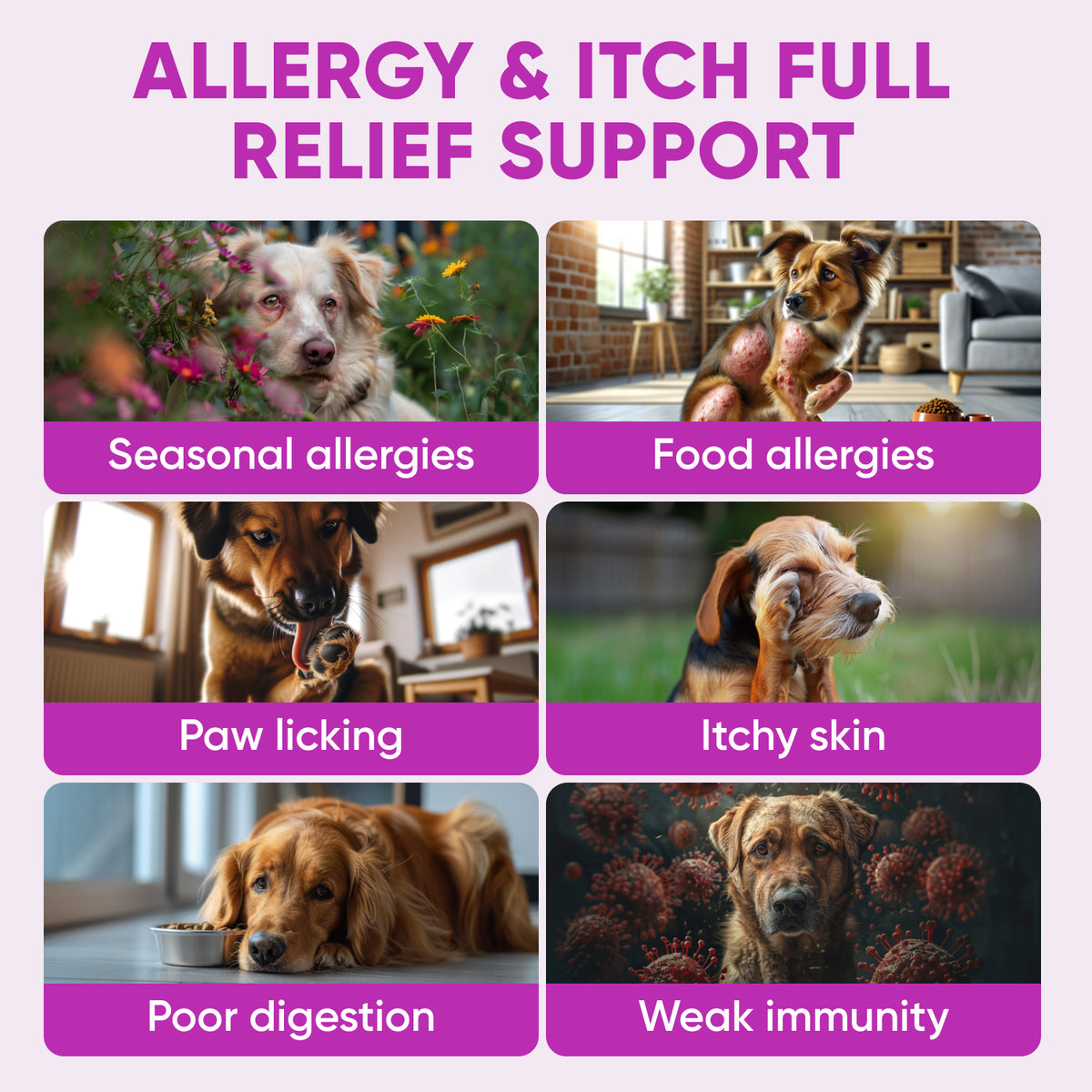 Dog Allergy Chews for Itchy Skin