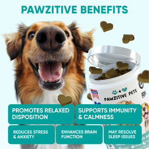 Hemp Calming Chews for Dogs