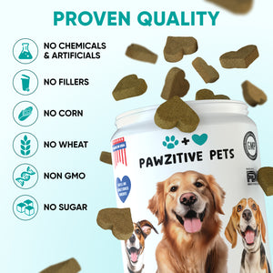 Hemp Calming Chews for Dogs