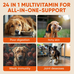 Dog Multivitamin Chews