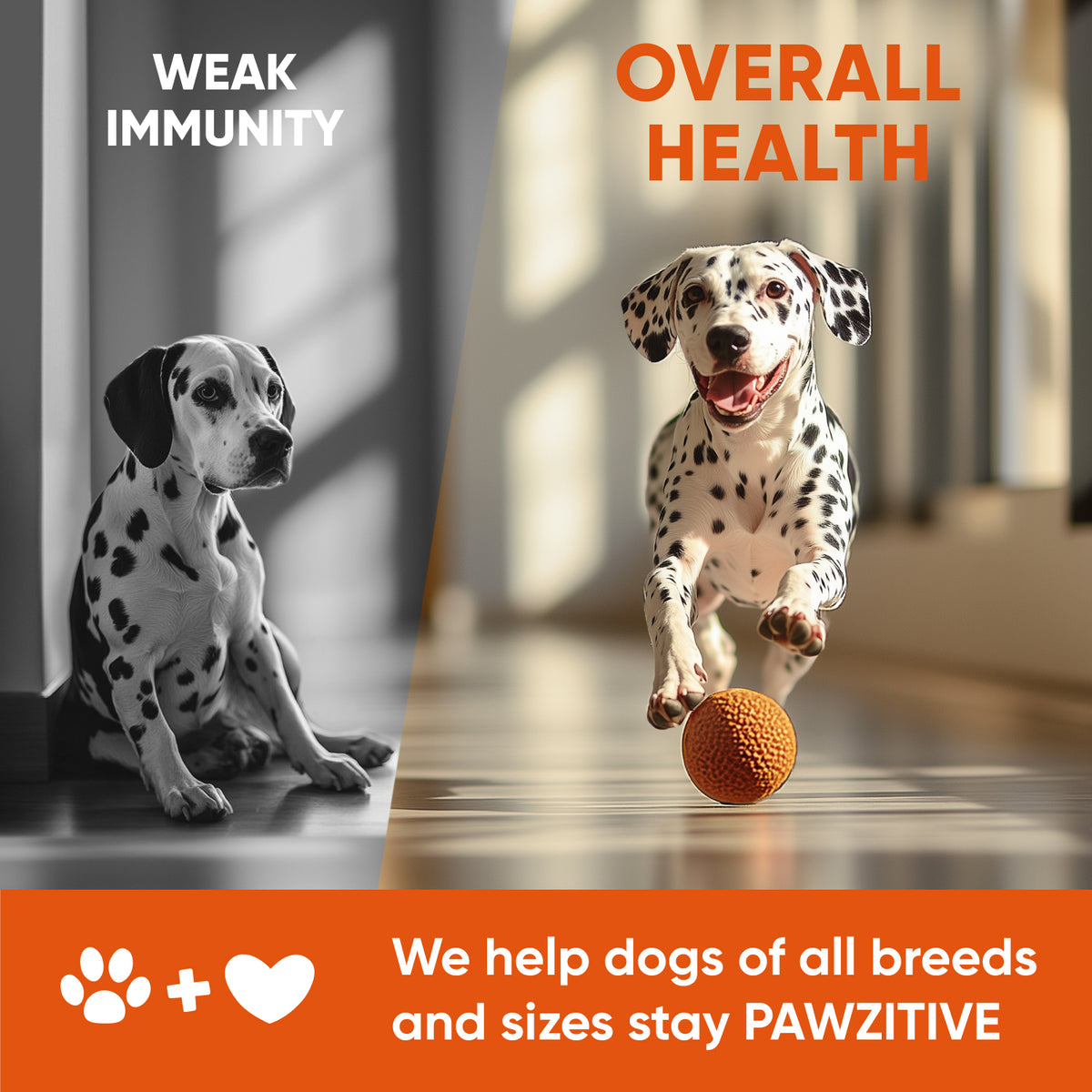 Dog Multivitamin Chews