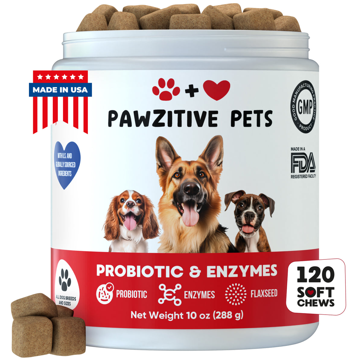 Probiotics for Dogs Digestive Health