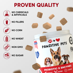 Probiotics for Dogs Digestive Health